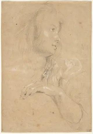 Young Woman in Profile, by Peter Paul Rubens