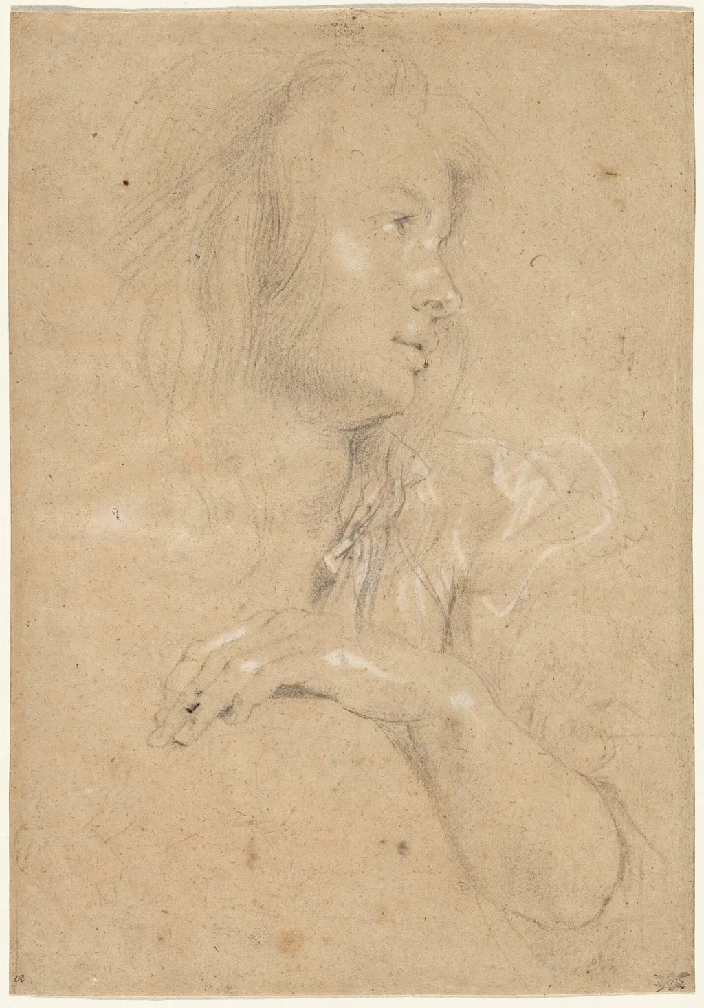 Young Woman in Profile, by Peter Paul, Sir Rubens, chalk, 1613