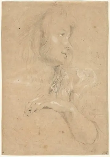 Young Woman in Profile, by Peter Paul, Sir Rubens