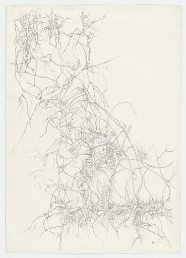 Untitled, by Peter Takal