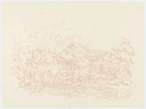 Untitled, by Peter Takal