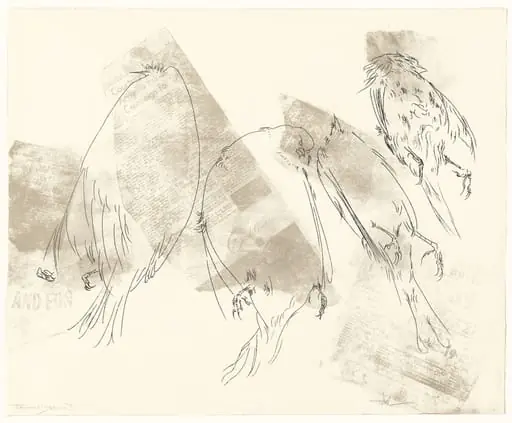 Untitled, by Peter Takal