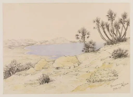 Bouzareah, Algiers, by Peter William Skinner Miles