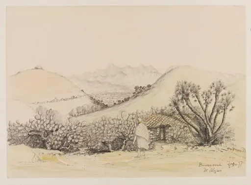 Bouzareah  W. Algiers, by Peter William Skinner Miles