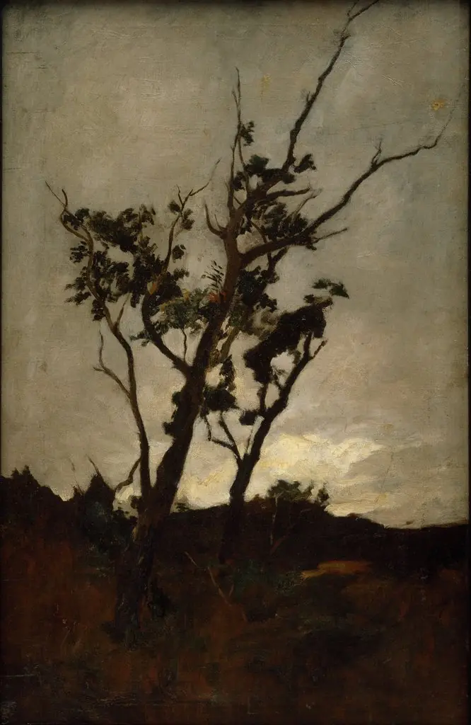 Tree study, by Petrus Van der Velden