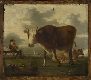 Cows in the pasture