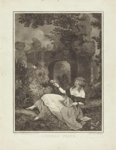 L'Oiseau privé, by Philibert-Louis Debucourt