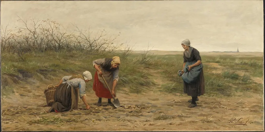 Scheveningse vrouwen bij het nalezen van een gerooid aardappelveld, by Philip Sadée