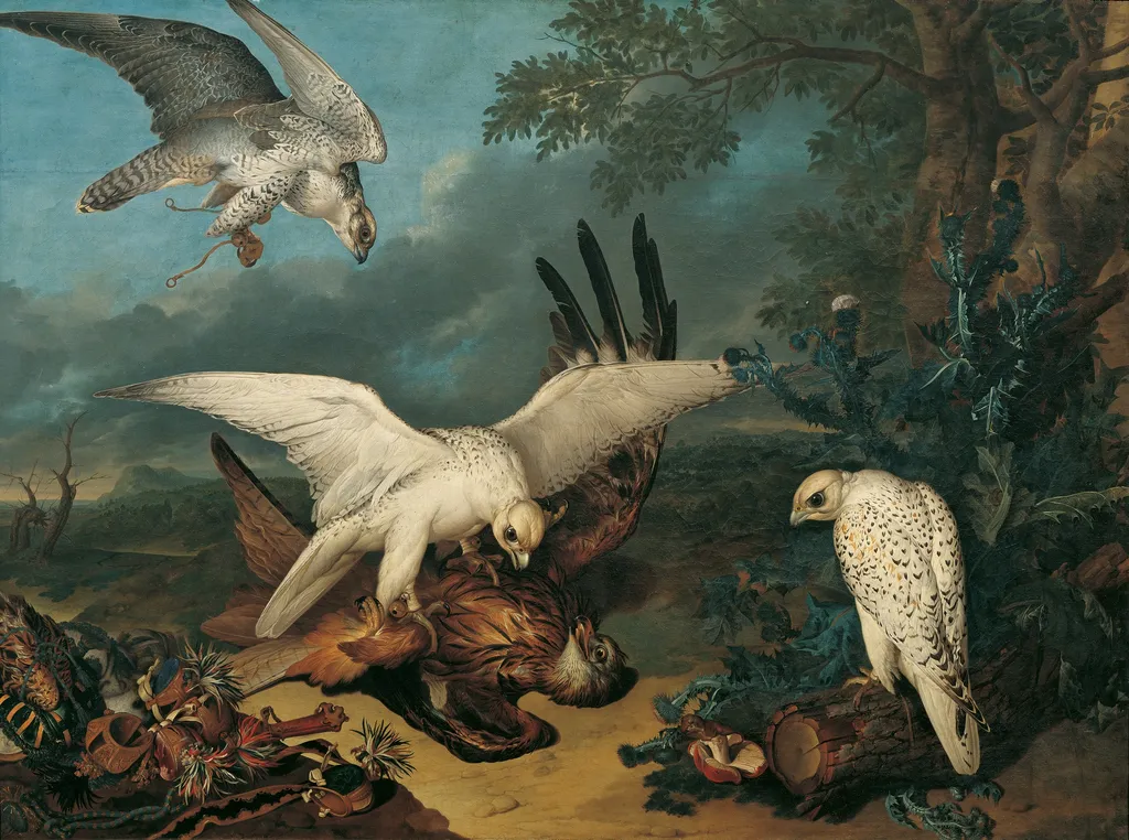 Bird of prey defeated by Iceland hawks, by Philipp Ferdinand de Hamilton, oil, 1745
