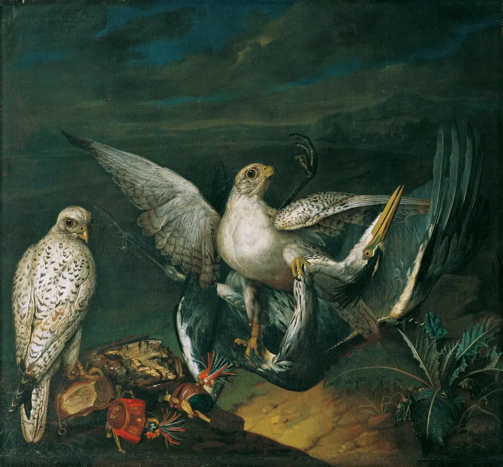 Philipp Ferdinand de Hamilton