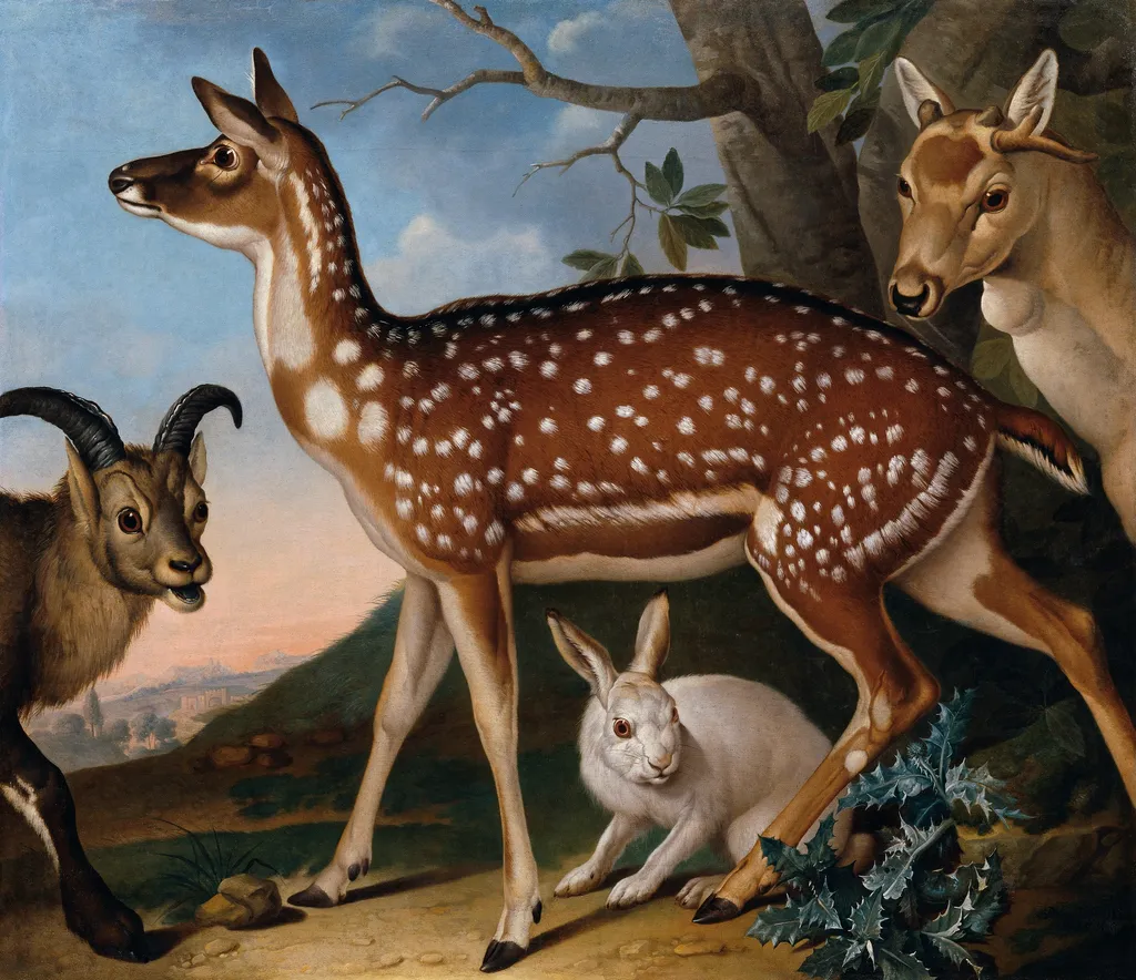 Damwild, Steinbock und Hase, by Philipp Ferdinand de Hamilton, oil, 1723