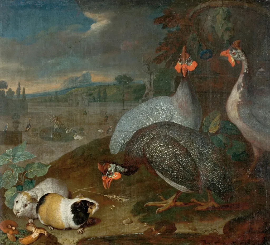 Guinea fowls with guinea pigs, by Philipp Ferdinand de Hamilton, oil, 1725
