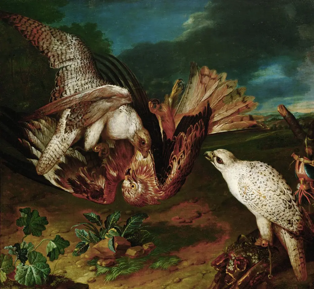 Kämpfende Falken, by Philipp Ferdinand de Hamilton