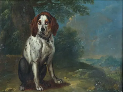 Prepelicar șezând, by Philipp Ferdinand de Hamilton