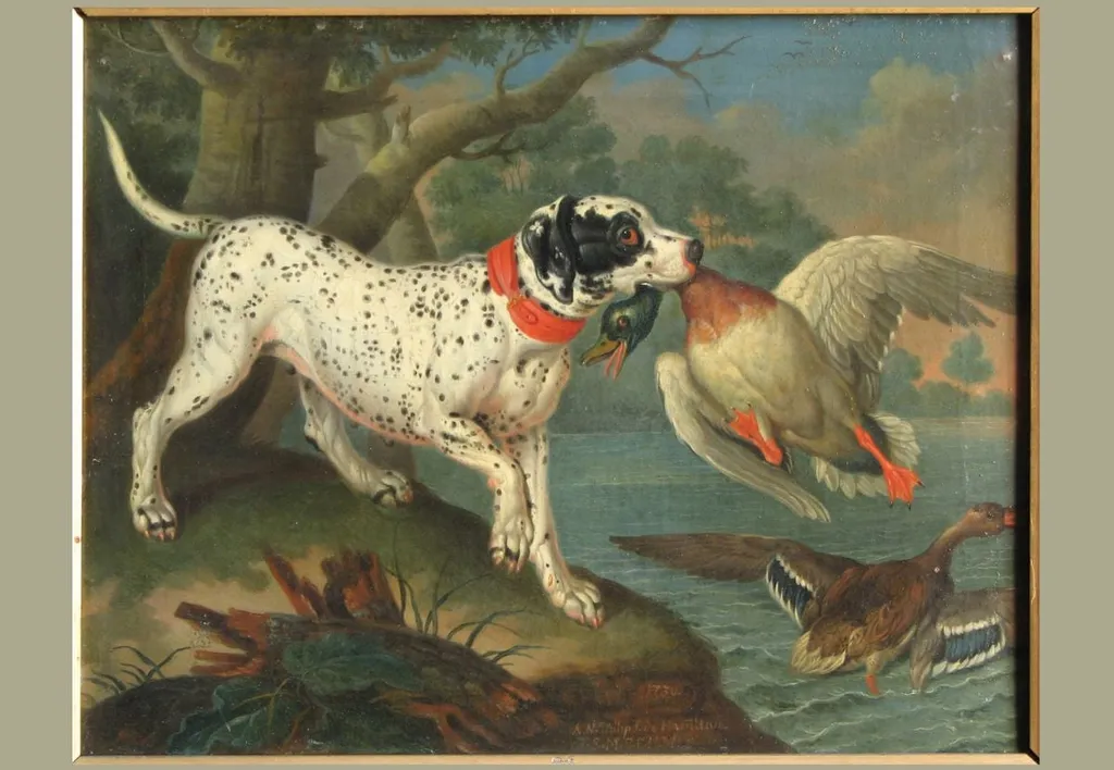 Rațe sălbatice gonite de un câine. Pandant: Rațe sălbatice gonite de un câine flocos, by Philipp Ferdinand de Hamilton, unspecified, 1730