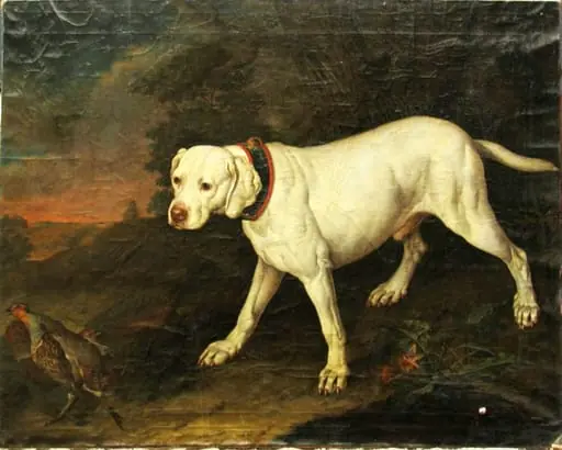 Prepelicar alb; pandant: Prepelicar brun, by Philipp Ferdinand Hamilton