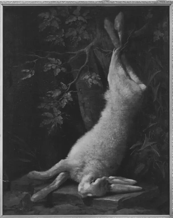 Dead hare