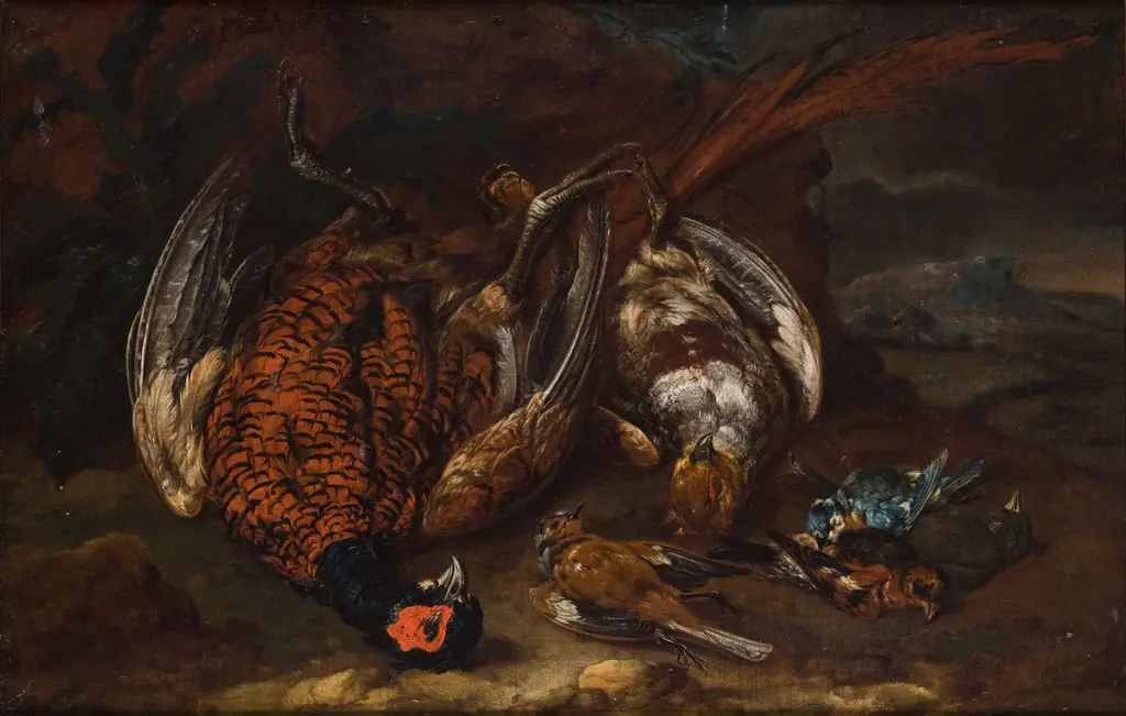 Slaughtered Birds, by Philipp von Purgau