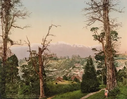 Darjeeling. Kinchinjunga and the Snows from Beechwood Park, by Photoglob Co.