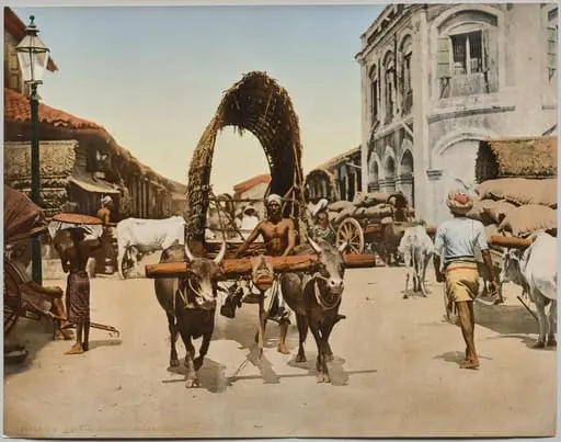 India. Ceylon. Colombo. Street Scene, after photo by Dr. Kurt Boeck, by Photoglob Co.