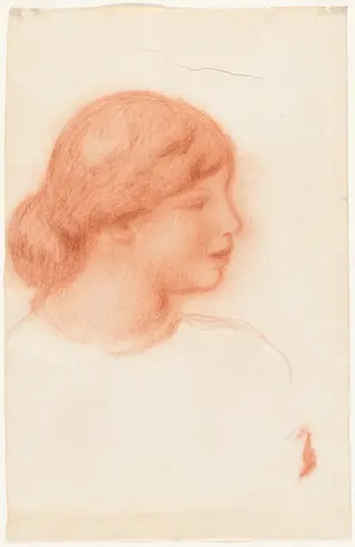 Profile of a Young Woman, by Pierre-Auguste Renoir