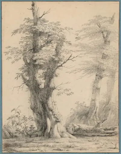 A Stand of Trees, by Pierre-Henri de Valenciennes