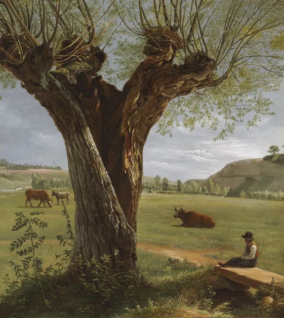 Pollard Willow, by Pierre Jean Boquet