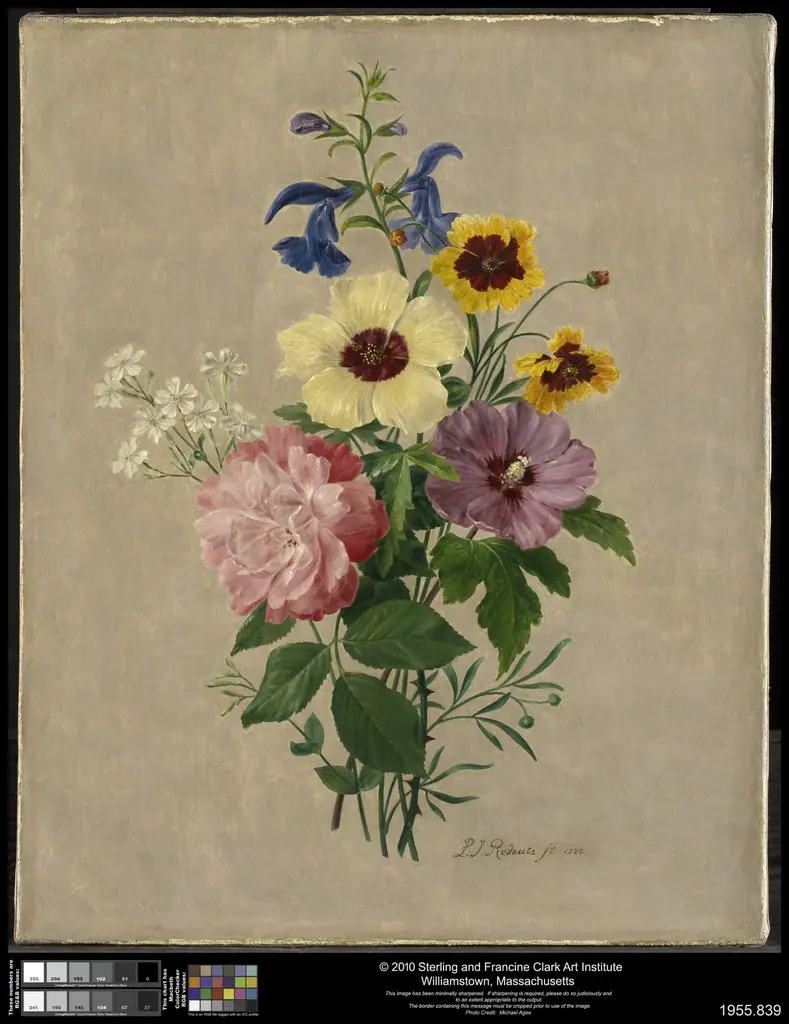 Flowers, by Pierre Joseph Redouté