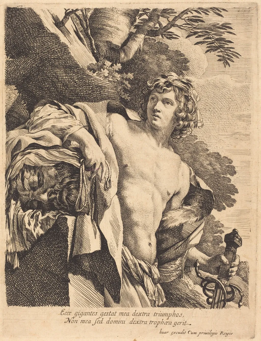 David with the Head of Goliath, by Pierre Mignard I, ink, 1630