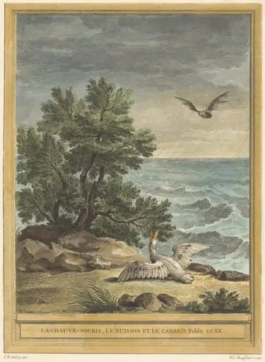 La chauve-souris, le buisson et le canard (The Bat, the Bush, and the Duck), by Pierre-Philippe Choffard