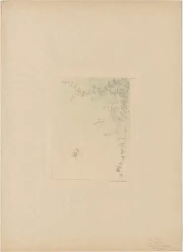 Salamander (La Salamandre), by Pierre Roche