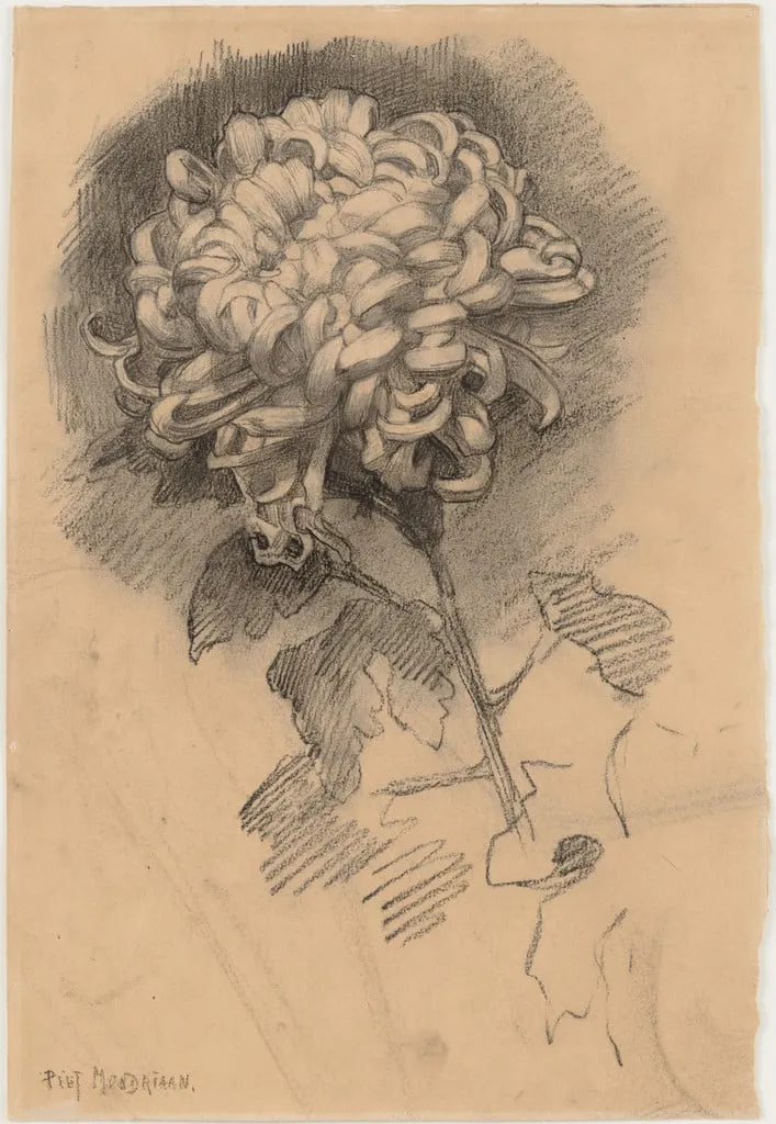 Untitled, by Piet Mondrian, charcoal, 1906
