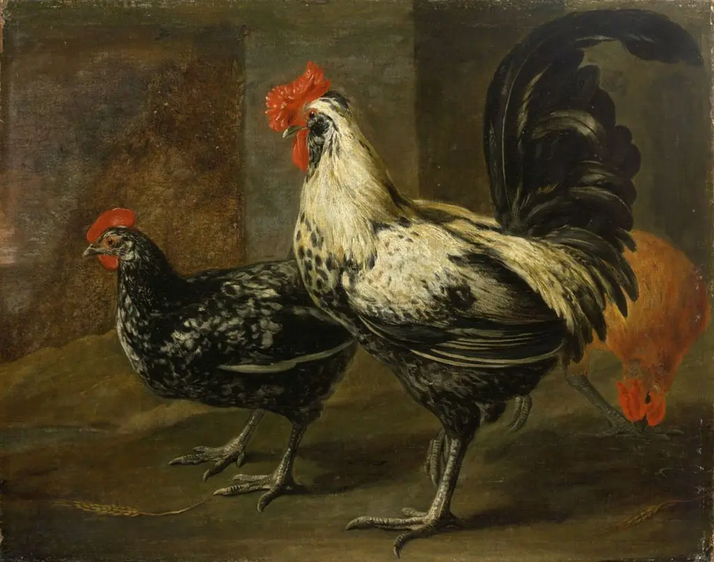 Cockerel and Hens, by Pieter Boel