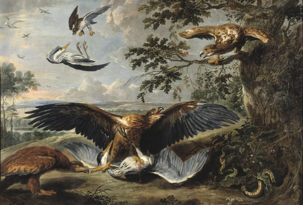 Fight between Eagles, by Pieter Boel