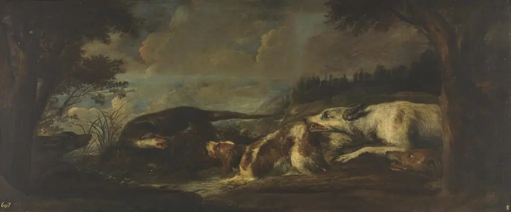 Otter harassed by dogs
