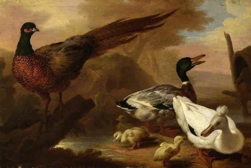 Pheasant and ducks, by Pieter Casteels III, oil, 1720