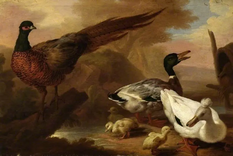 Pheasant and ducks, by Pieter Casteels III