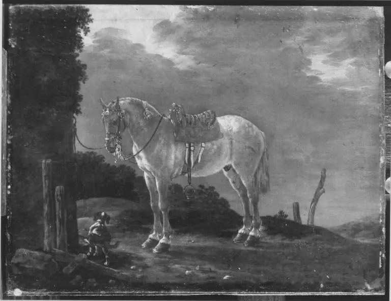 Ein gesatteltes Pferd, by Pieter Cornelisz Verbeeck