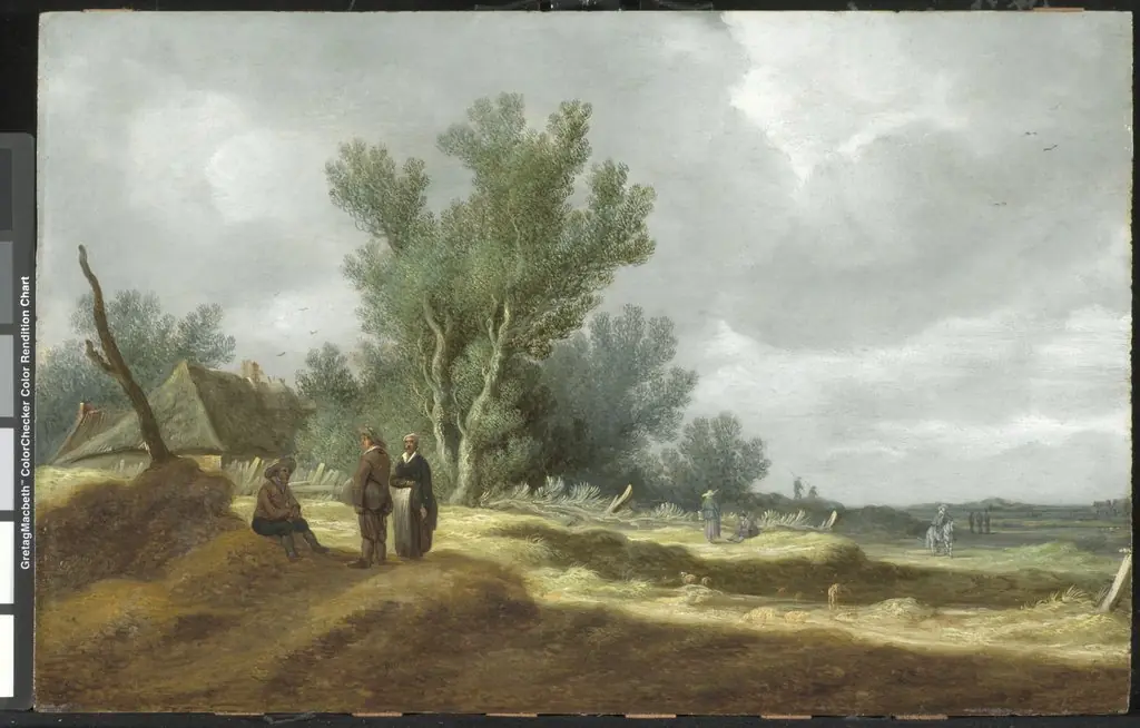 Dune Landscape, by Pieter de Neyn