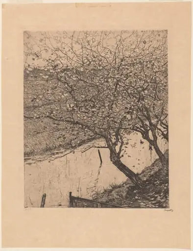 Apple Trees along the Side of a Ditch, by Pieter Dupont