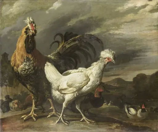 Cock, a Hen and other Poultry, by Pieter Jansz. van Ruyven