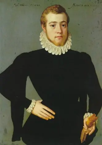Portrait of a Man, by Pieter Pourbus