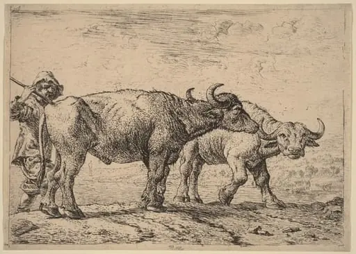 Two Buffaloes and a Herdsman, by Pieter van Laer