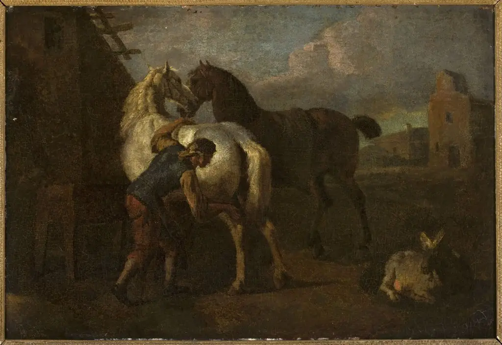 Groom and horses
