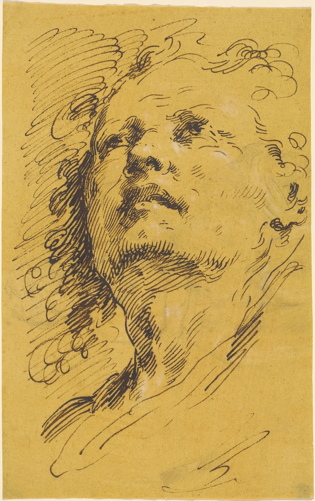 Head of a Man Looking Up, by Pietro Antonio Novelli, ink