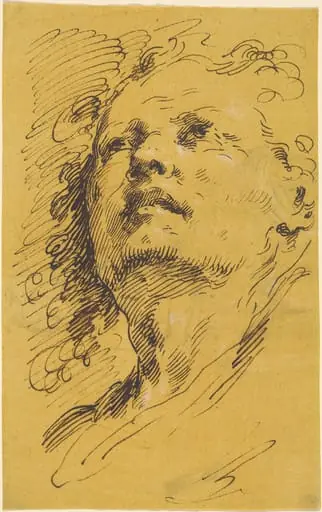 Head of a Man Looking Up, by Pietro Antonio Novelli