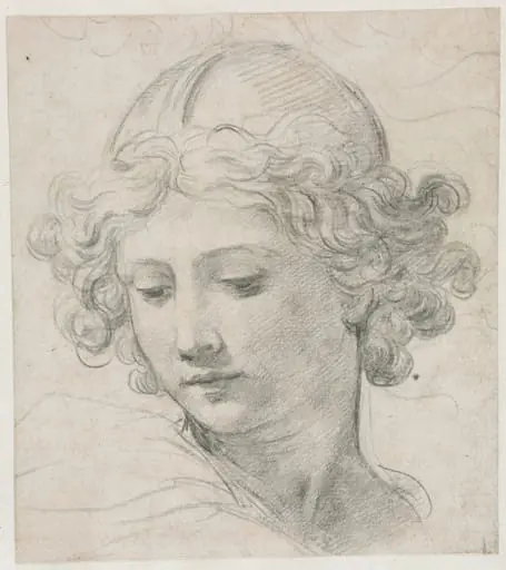 Study for the Head of St. Michael, by Pietro da Cortona