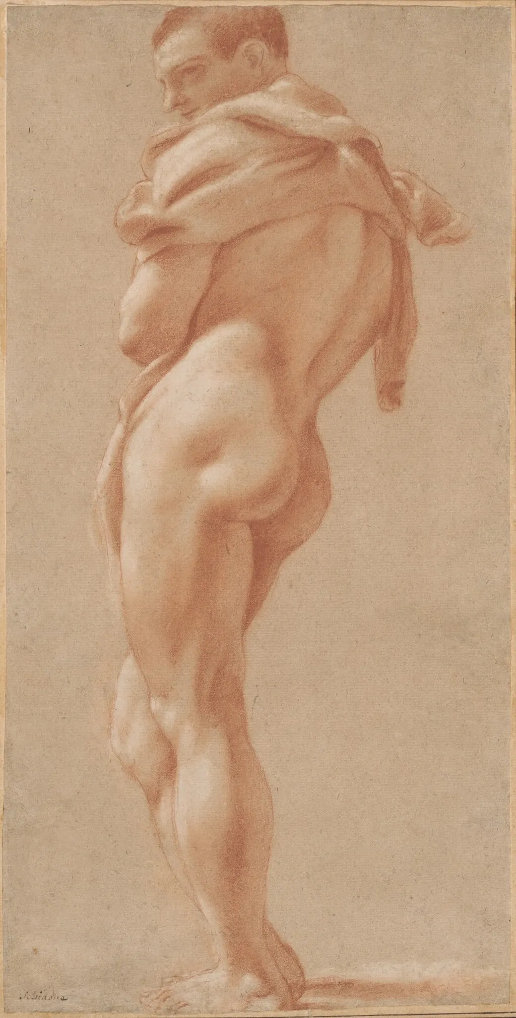 Standing Male Nude Seen from Behind, by Pietro Faccini, chalk, 1590