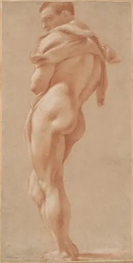 Standing Male Nude Seen from Behind, by Pietro Faccini