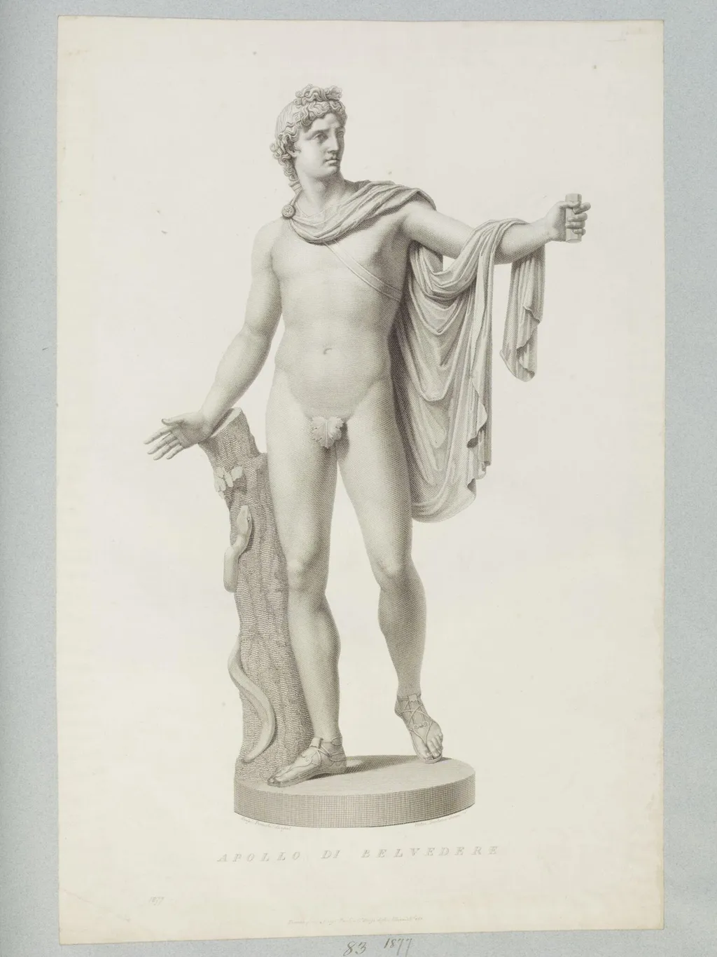 Apollo di Belvedere, by Pietro Fontana, 1850